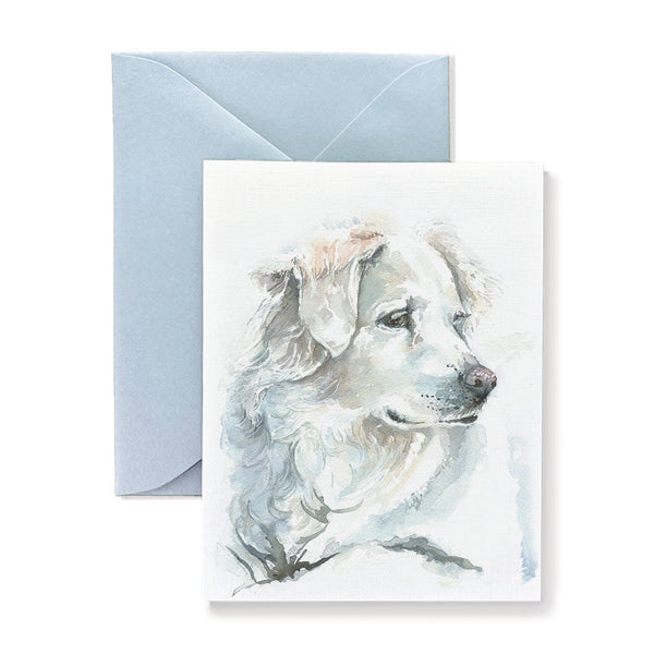 Willow the White Golden Retriever Dog Card