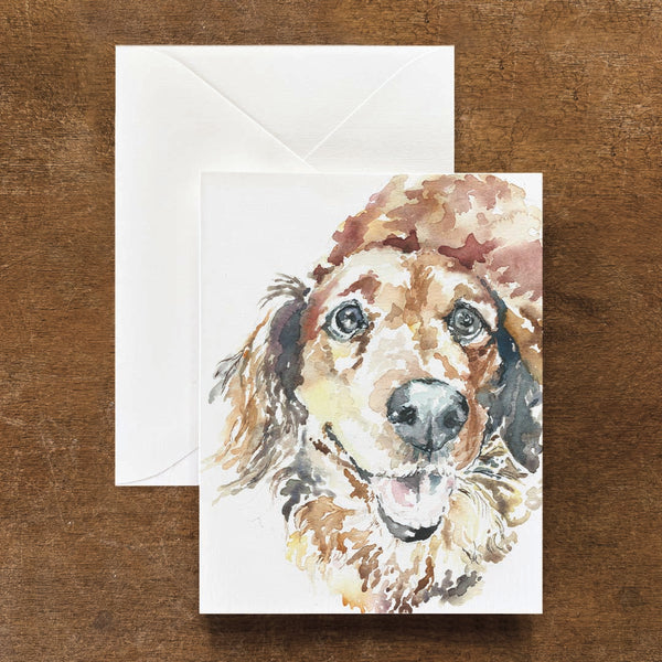 Dachshund Winston Dog Card