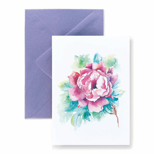 Knock Out Rose Card