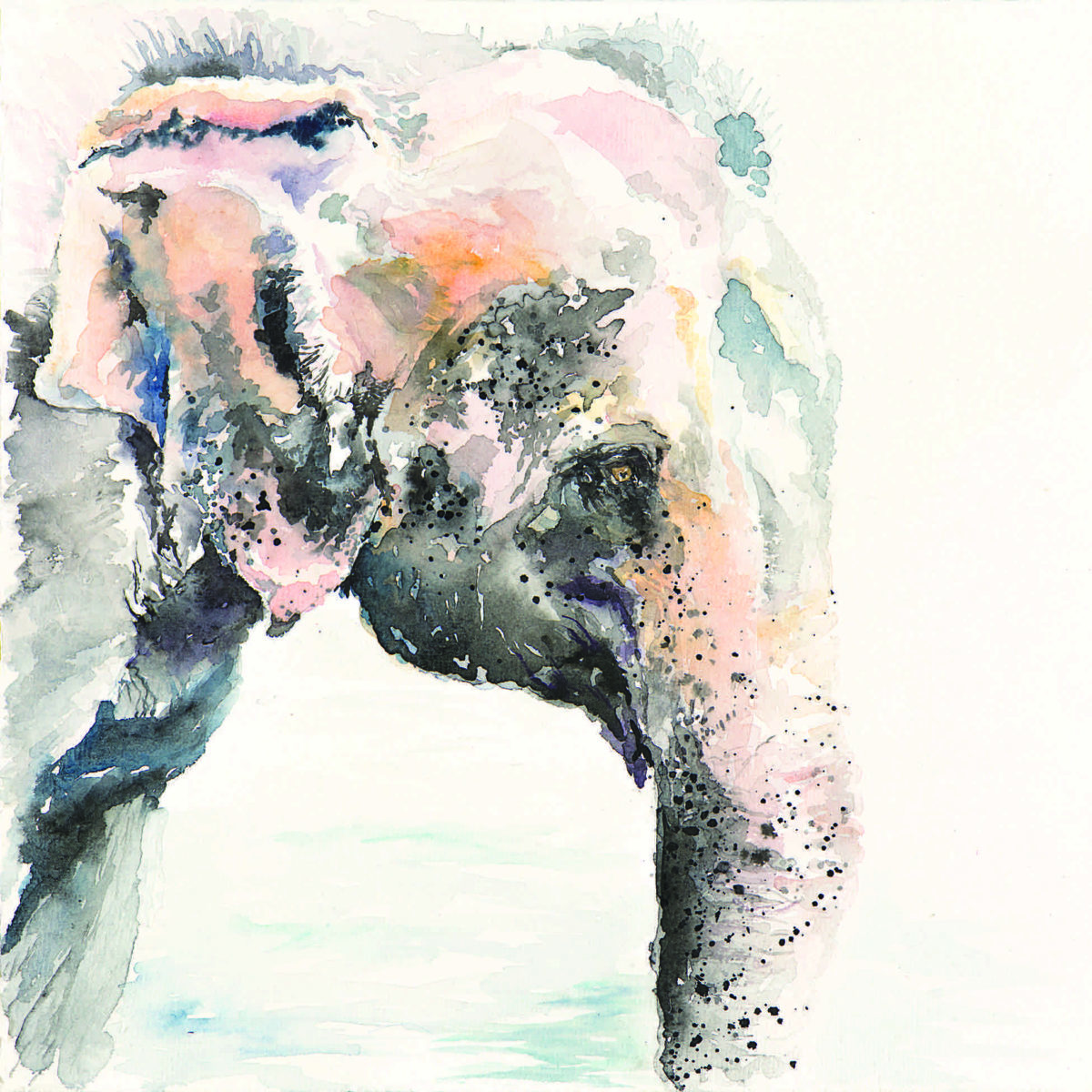 Watercolor of Asian elephant