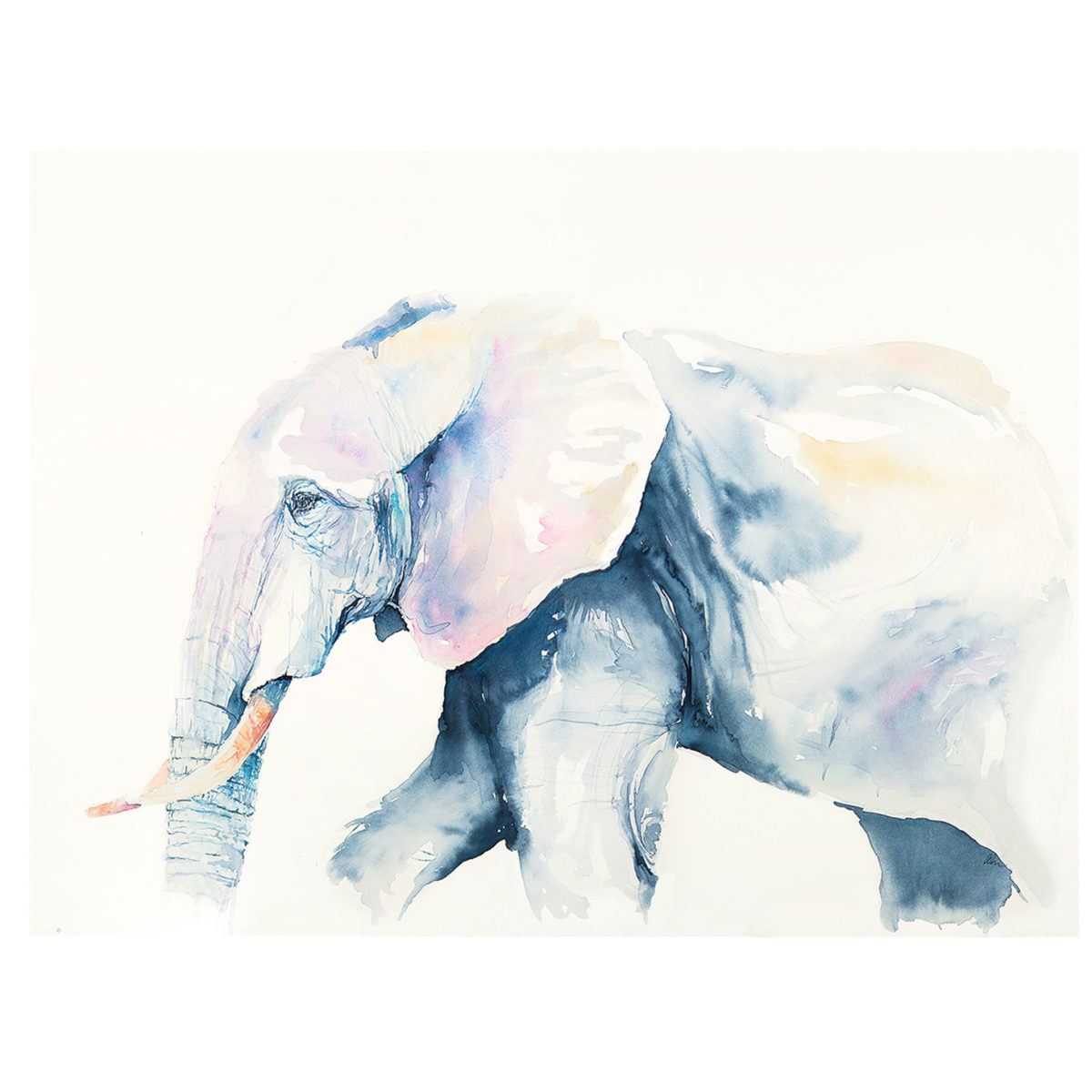 Watercolor of blue elephant