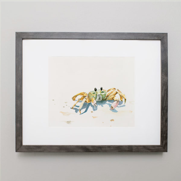 Watercolor of a ghost crab in a gray frame