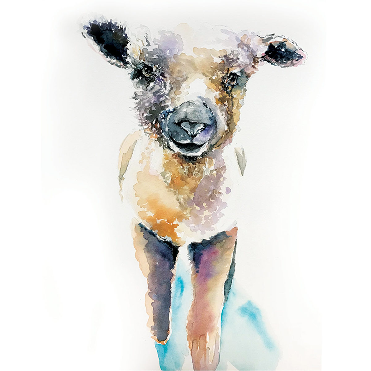 Watercolor of a lamb