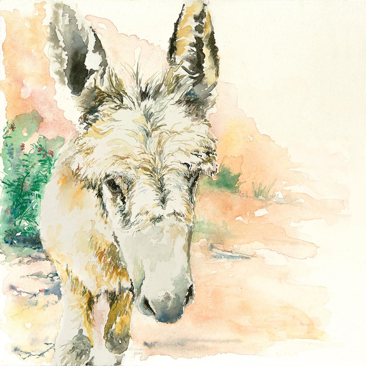 Watercolor of a donkey in Petra
