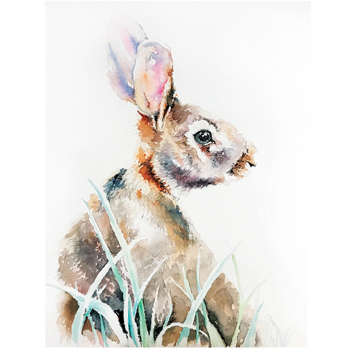 Watercolor of a rabbit