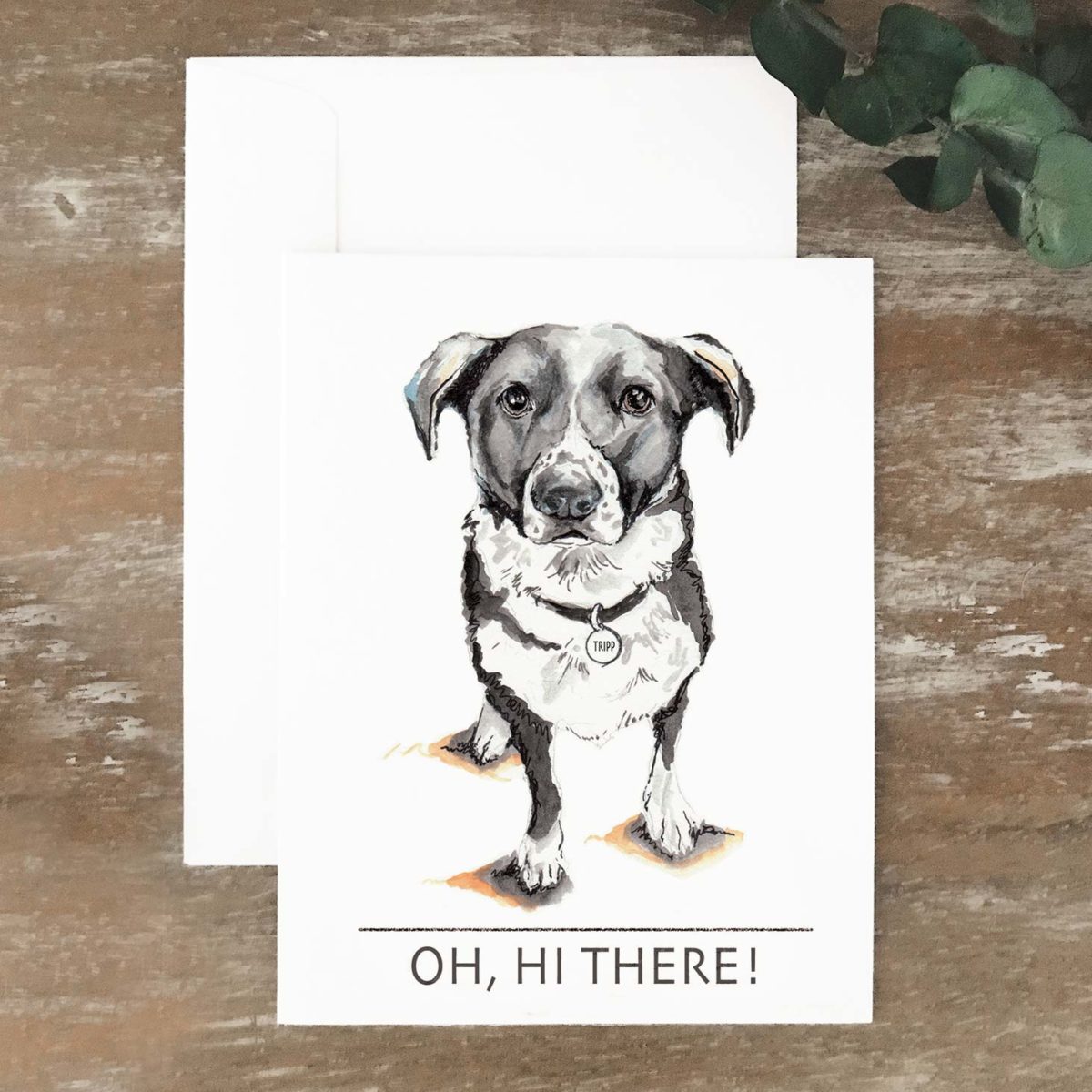 A2 greeting cards of a black and white dog named Tripp