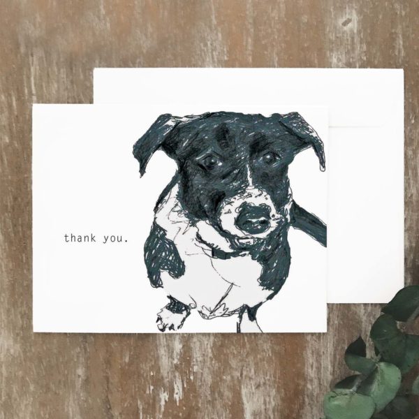 A2 greeting card of black and white dog