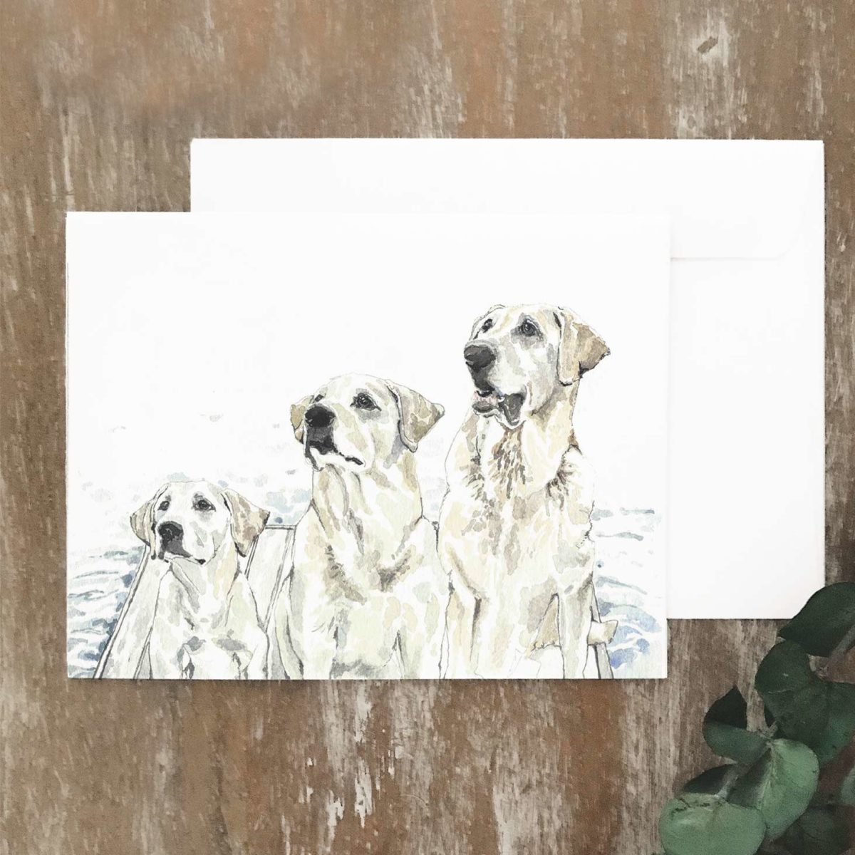 A2 greeting card of 3 white labs