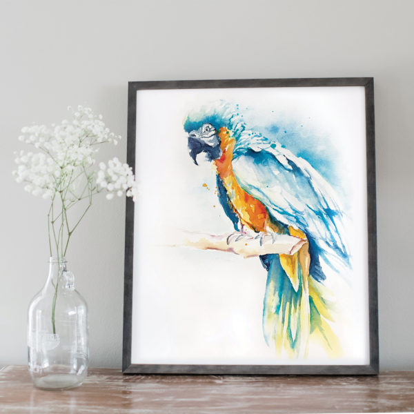 Watercolor of macaw in gray frame