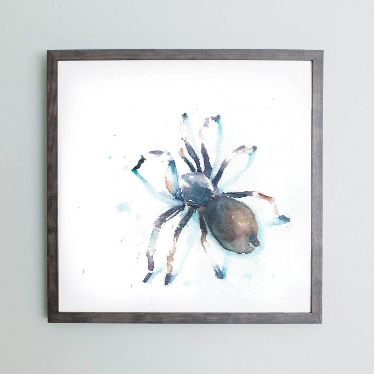 Watercolor of tarantula in gray frame