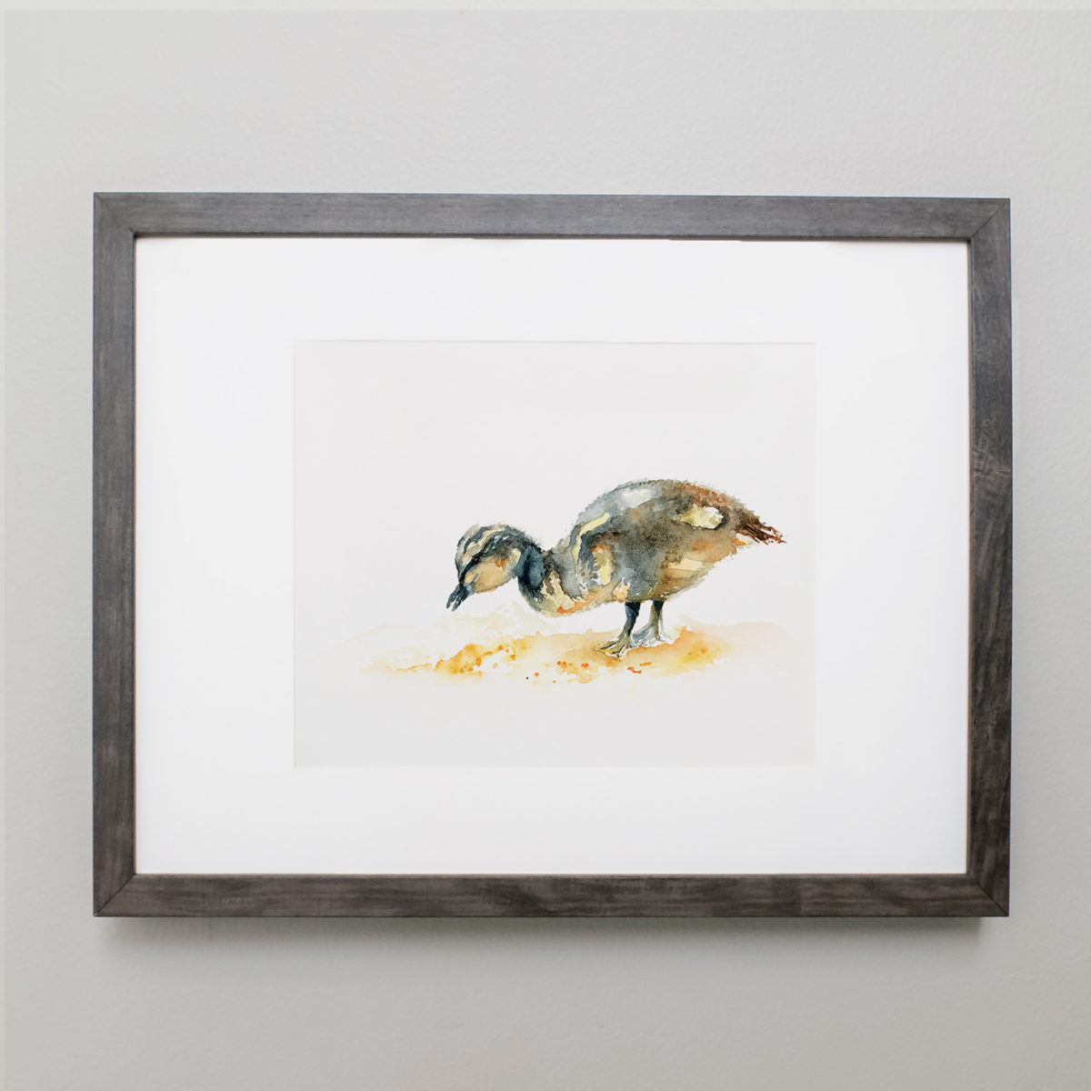 Watercolor of duckling in a gray frame
