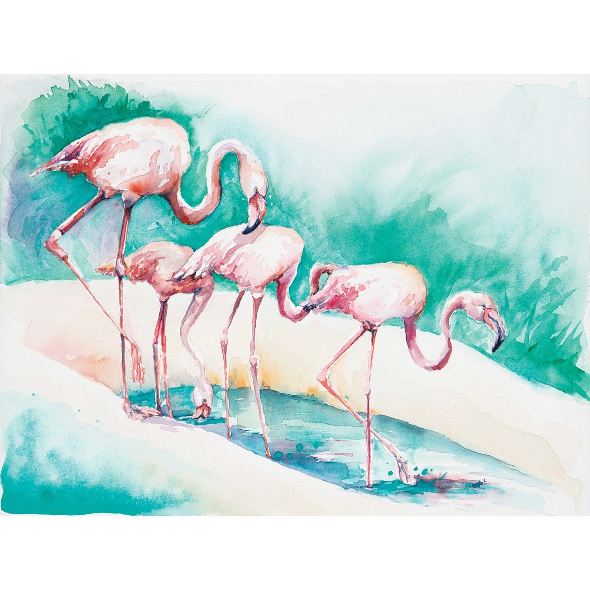Watercolor of 4 flamingoes