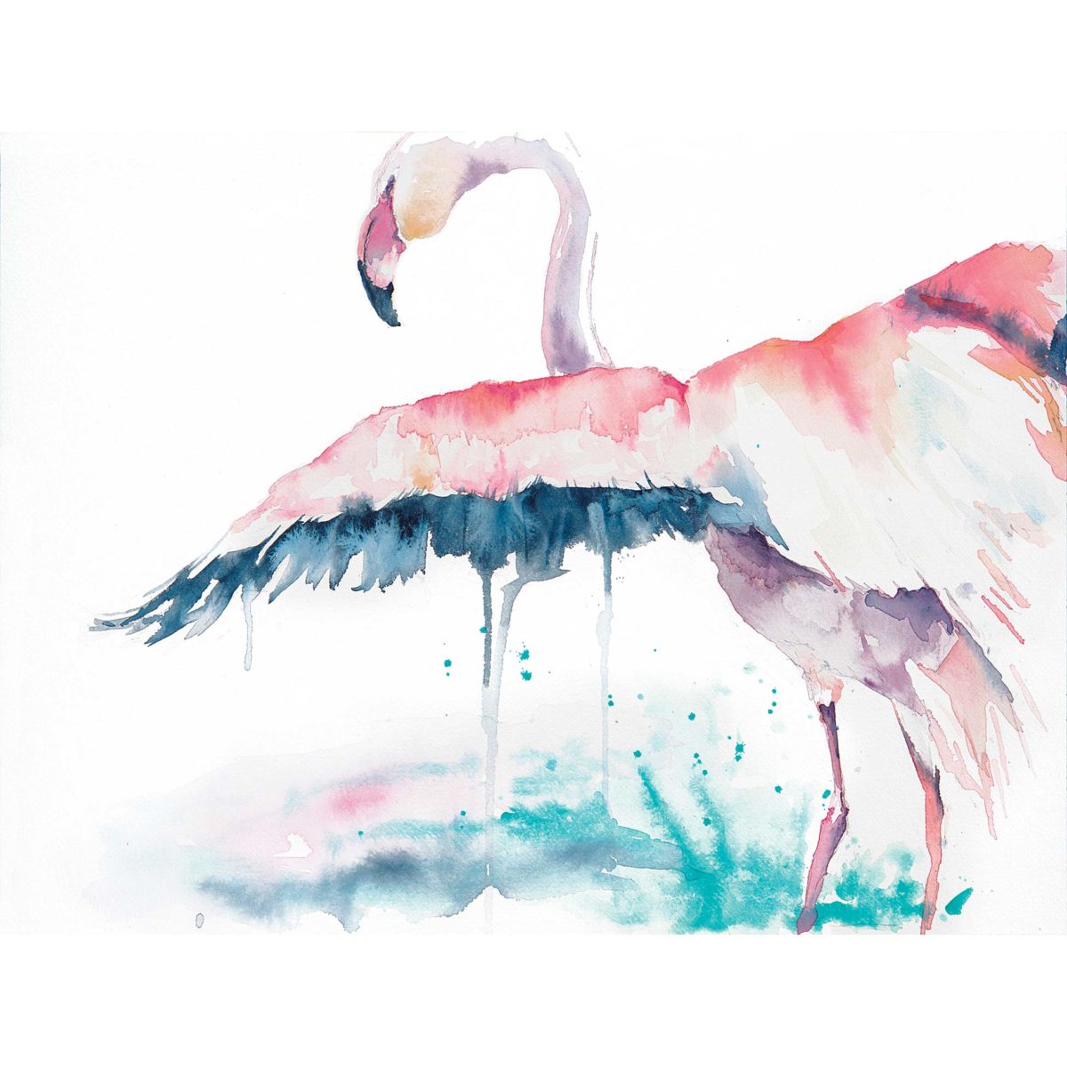 Watercolor of flamingo with wings spread