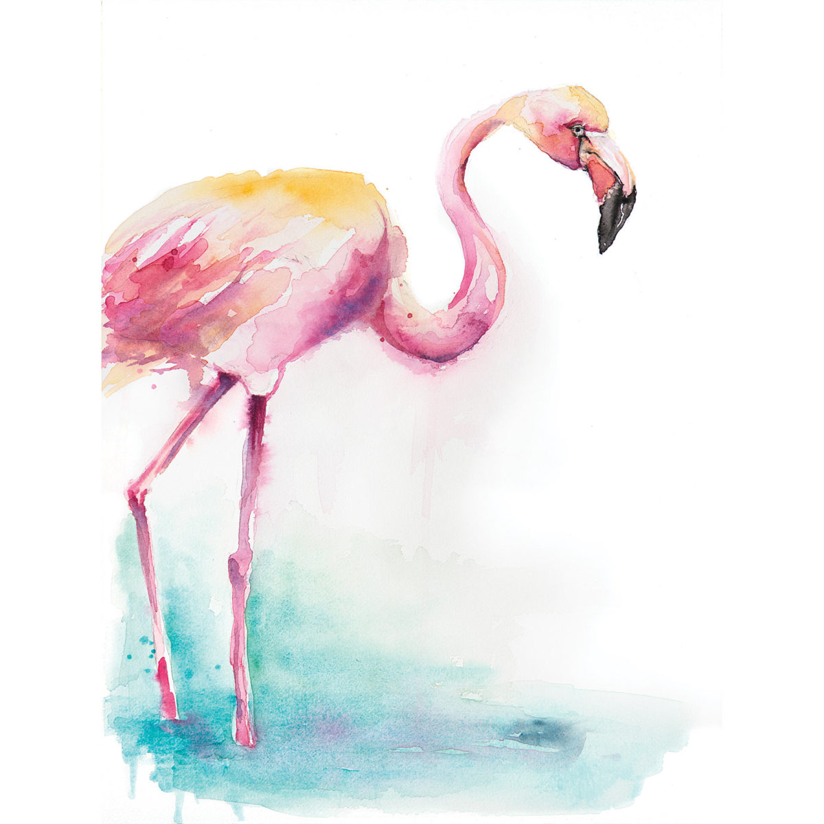 Watercolor of pink flamingo