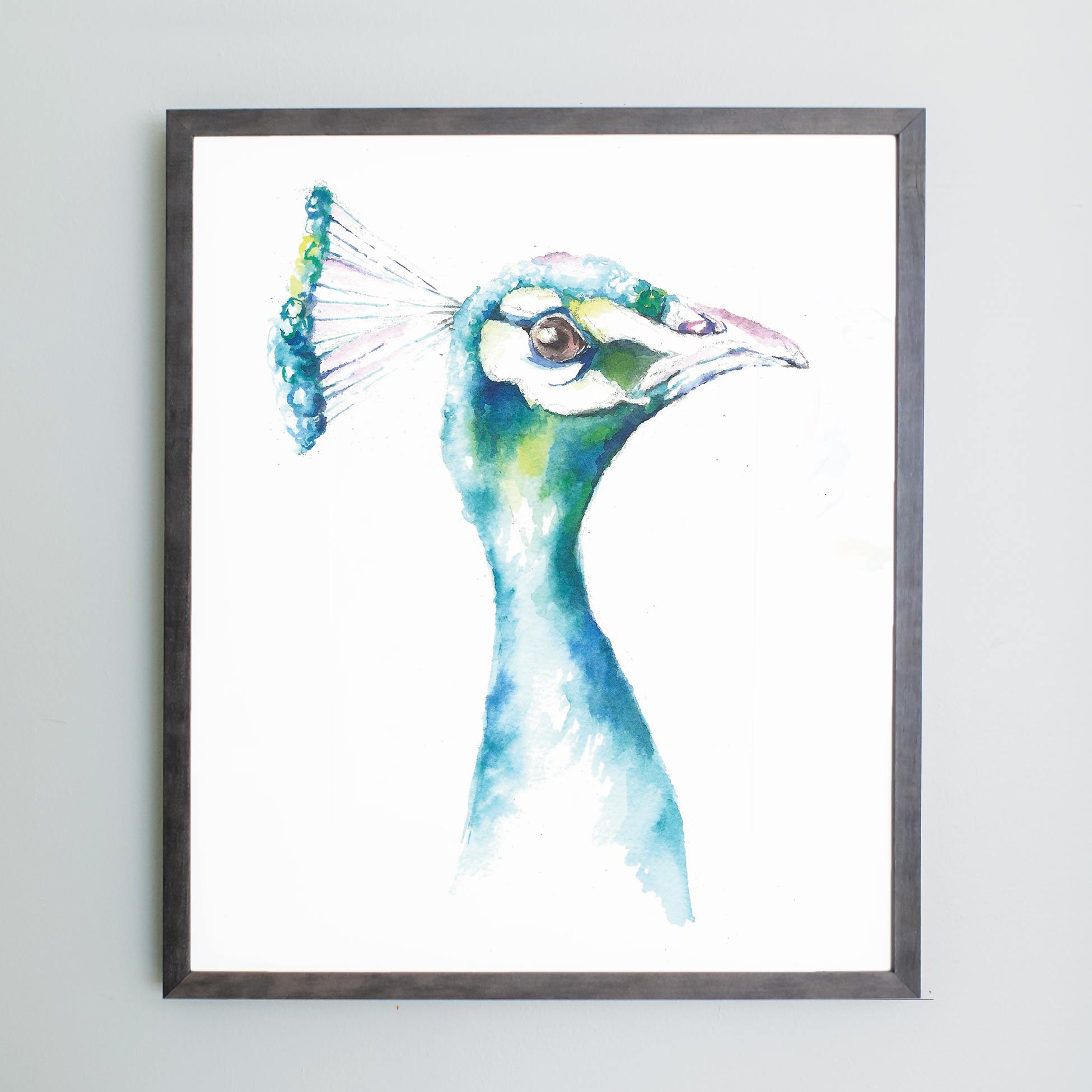 Watercolor of peacock in gray frame