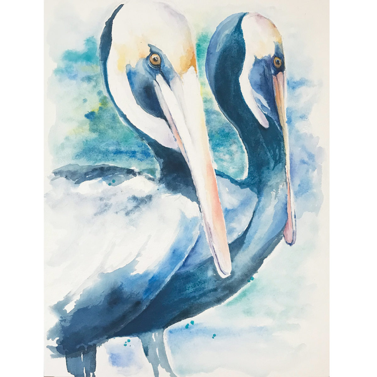 Watercolor of brown pelicans in Kiawah Island