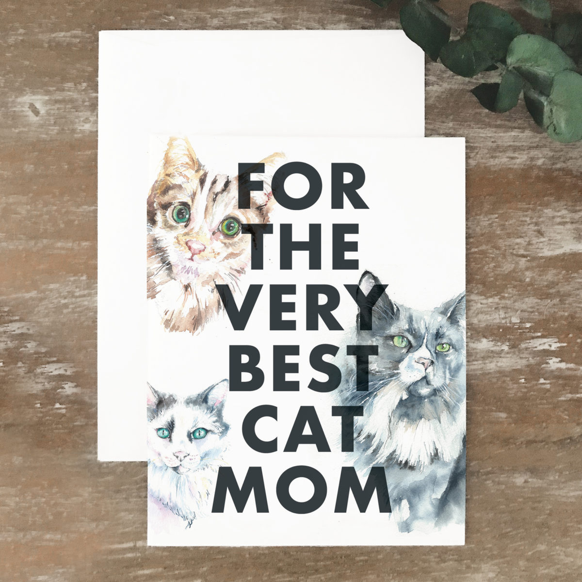 A2 greeting card of cats