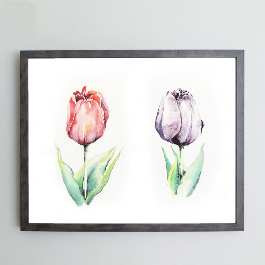 Watercolor tulips in a gray frame