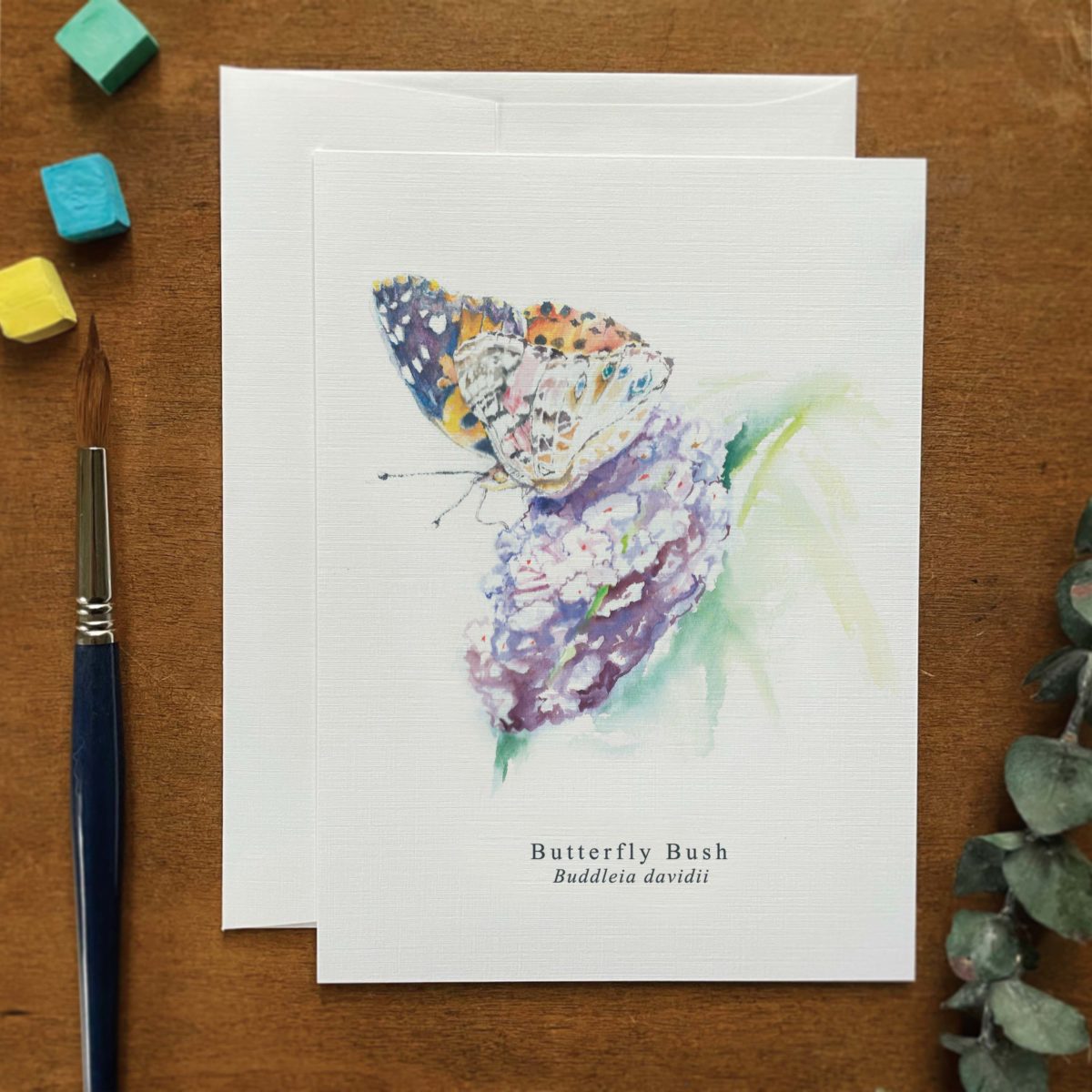A2 greeting card of a Butterfly Bush
