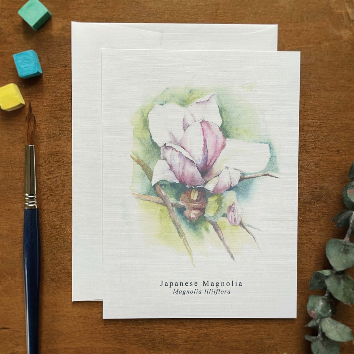 A2 greeting card of a Japanese Magnolia