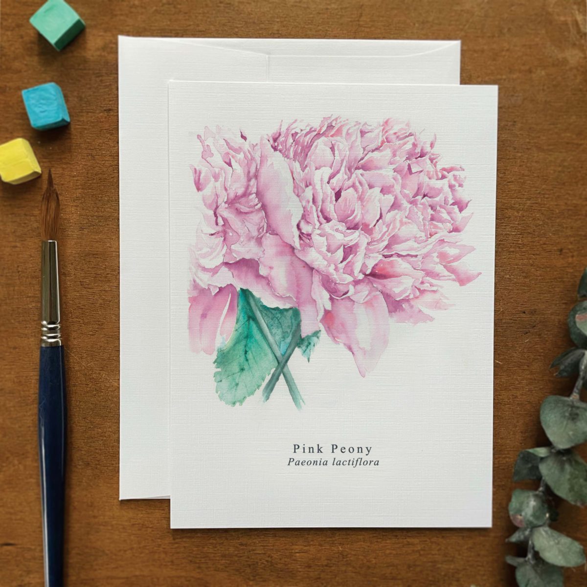 A2 greeting card of a Pink Peony