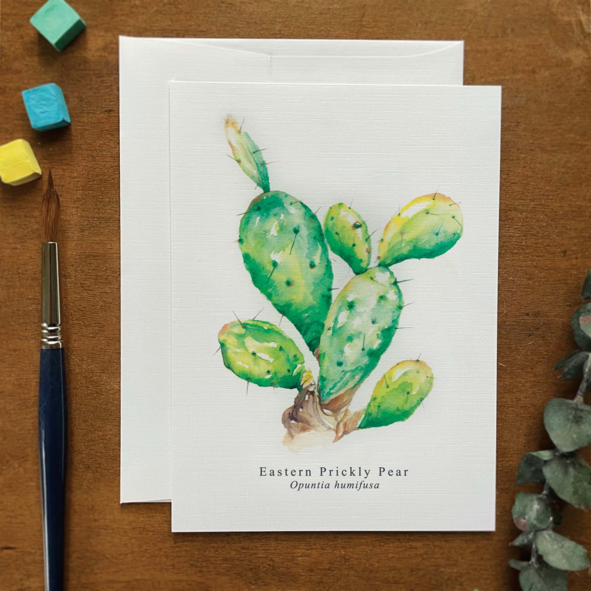 A2 greeting card of an Eastern Prickly Pear