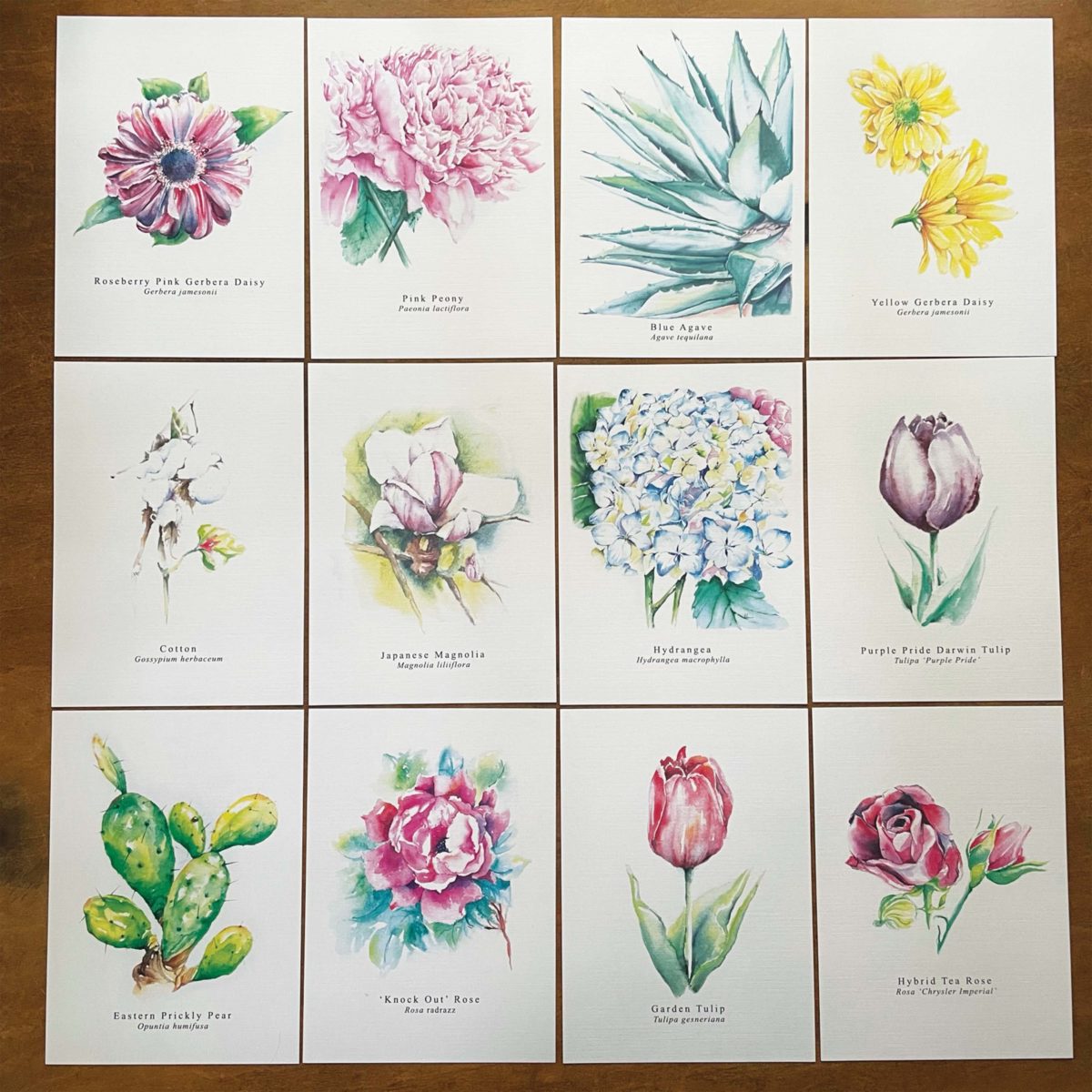 A2 greeting cards of the whole Floral Notecards collection