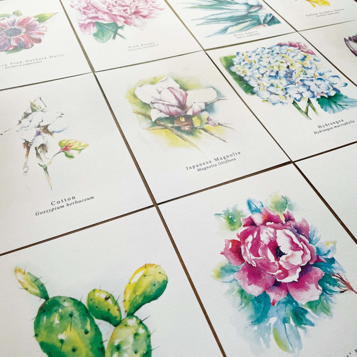 Photo of a few of the Floral Notecards collection