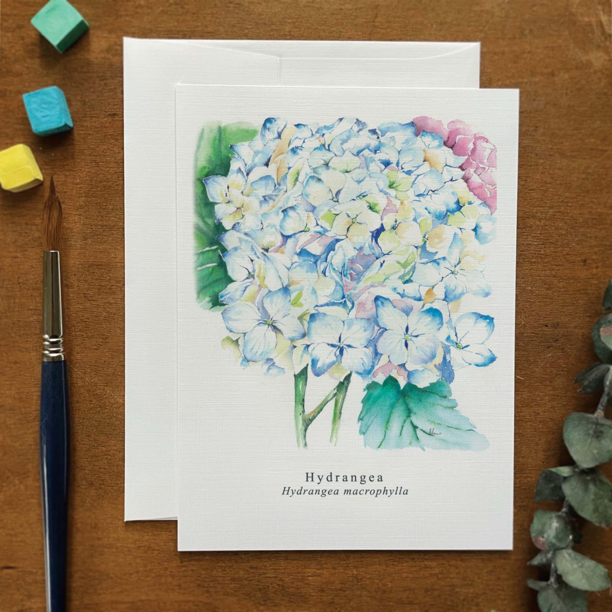 A2 greeting card of a Hydrangea
