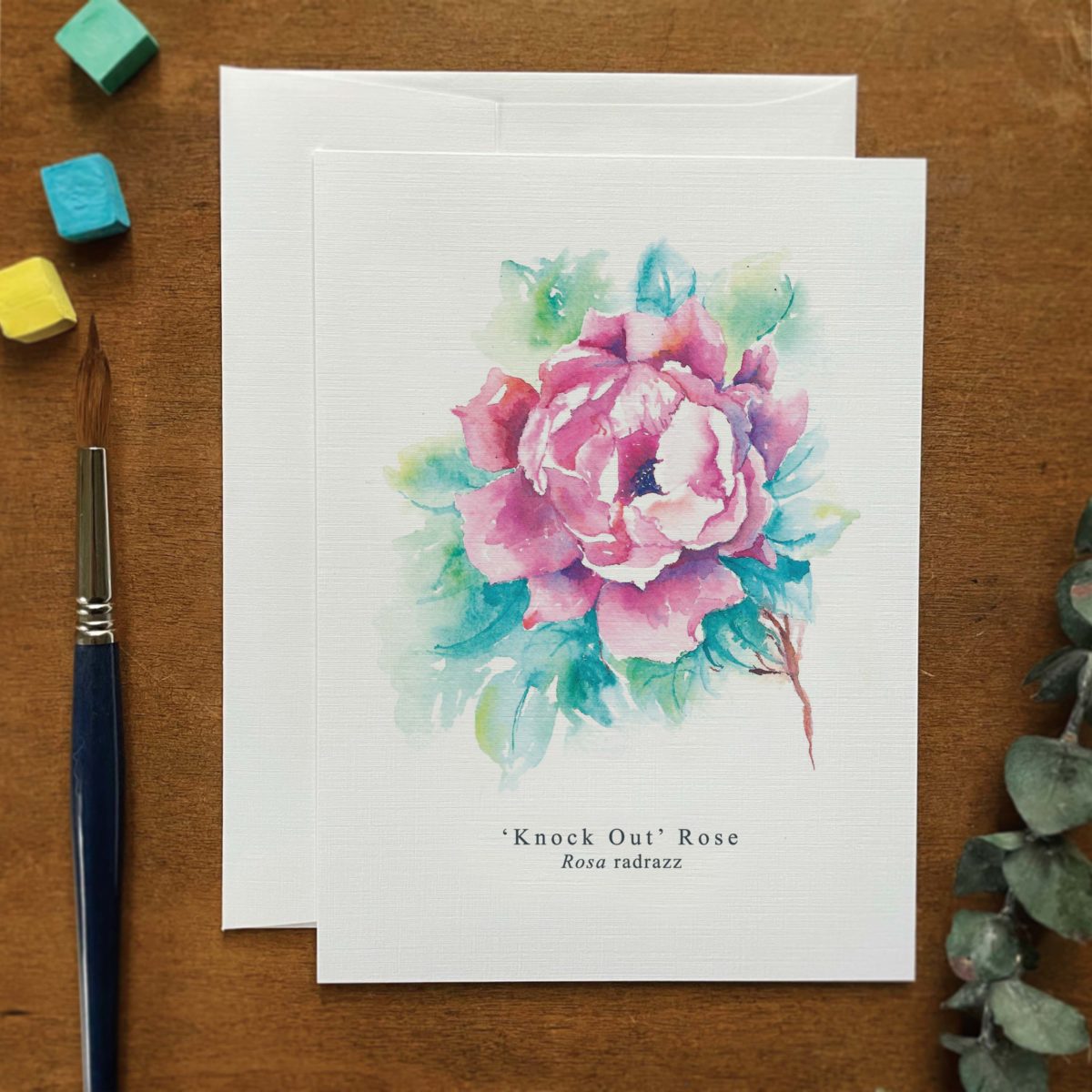 A2 greeting card of Knock Out Rose