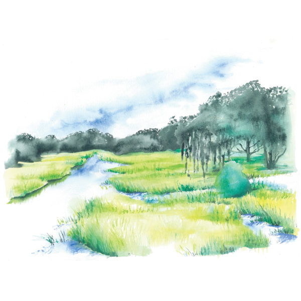 Watercolor of Kiawah Island marsh