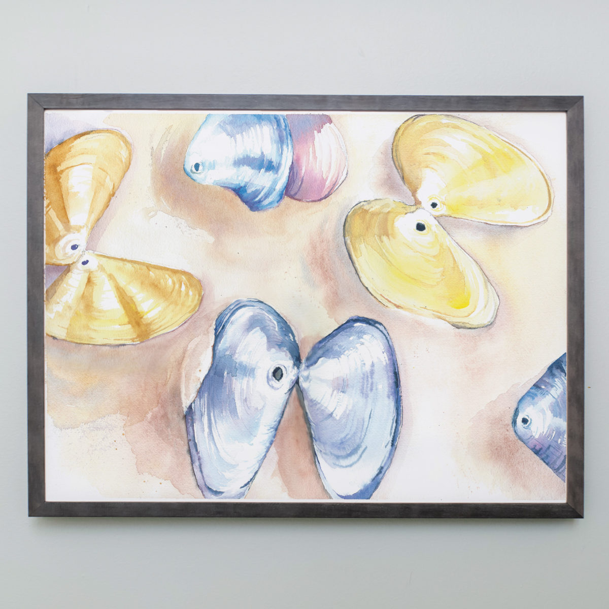 Watercolor of yellow and purple butterfly shells in a gray frame