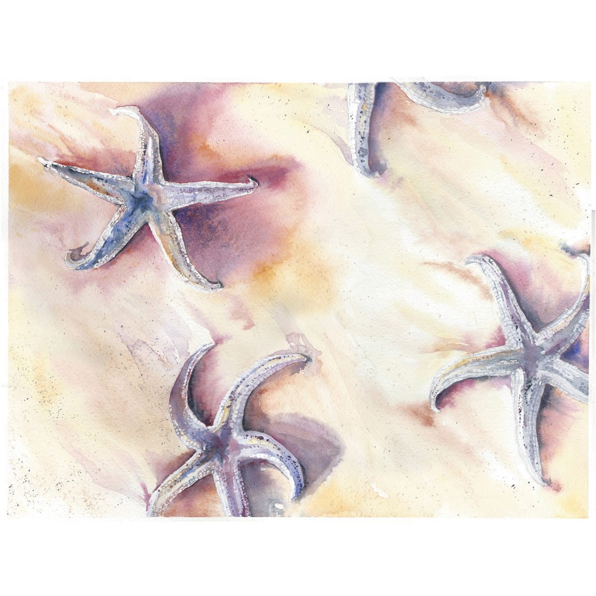 Watercolor of starfish